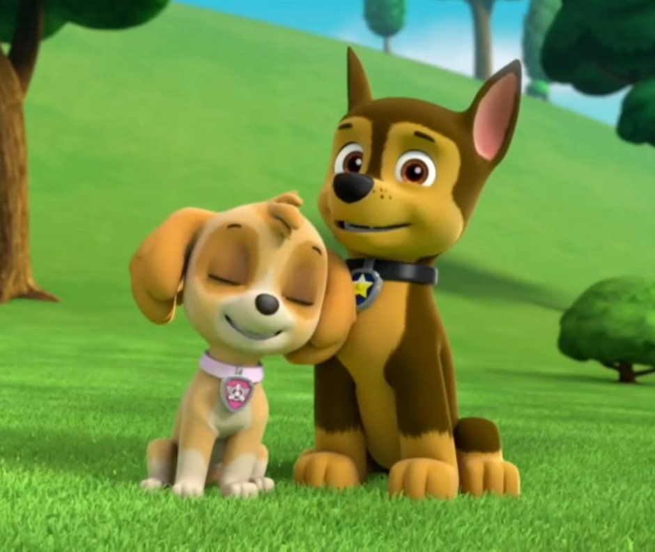 Щенячий патруль Гончиц и Скай