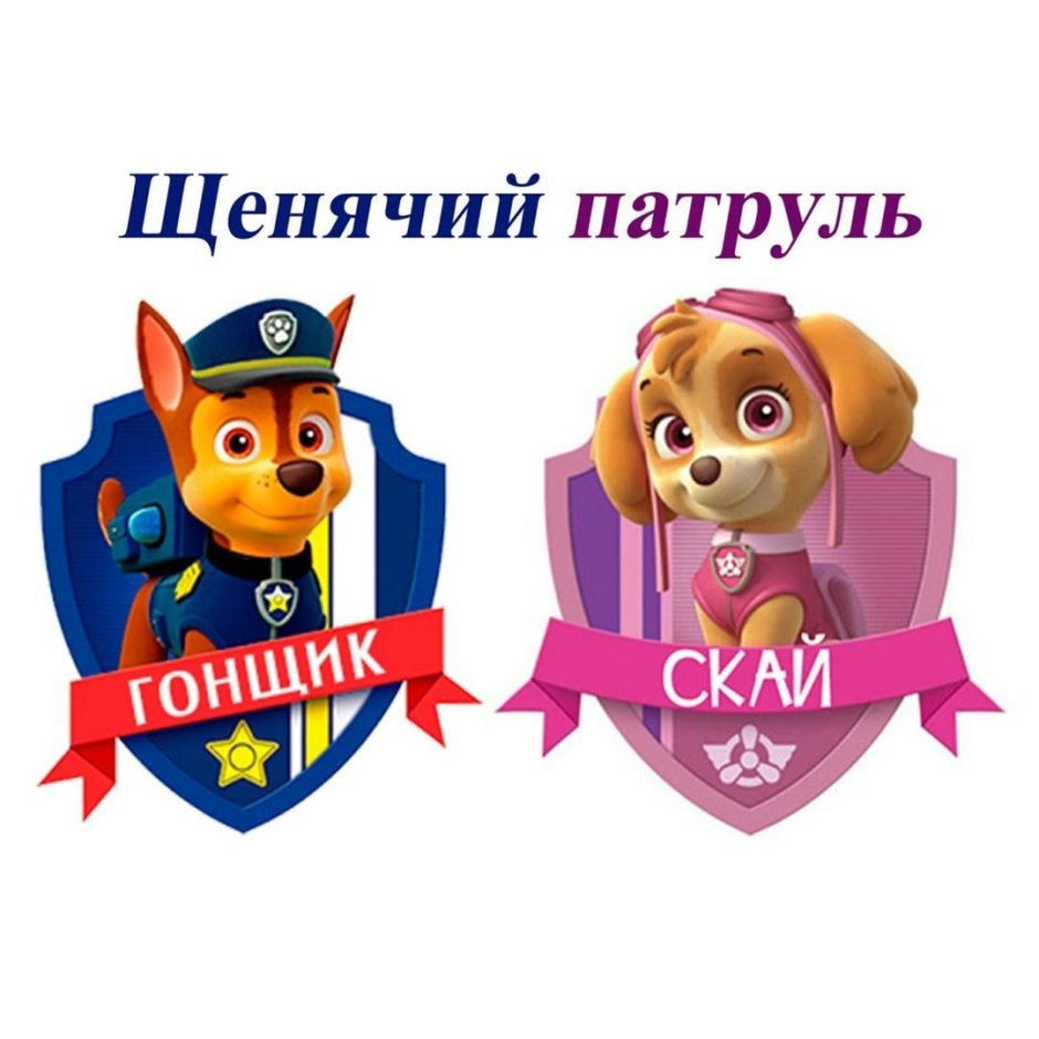 Щенячий патруль гонщик и Скай любовь