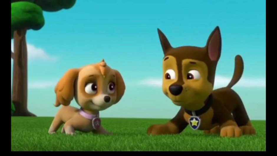 Щенячий патруль Скай и гонщик целуются