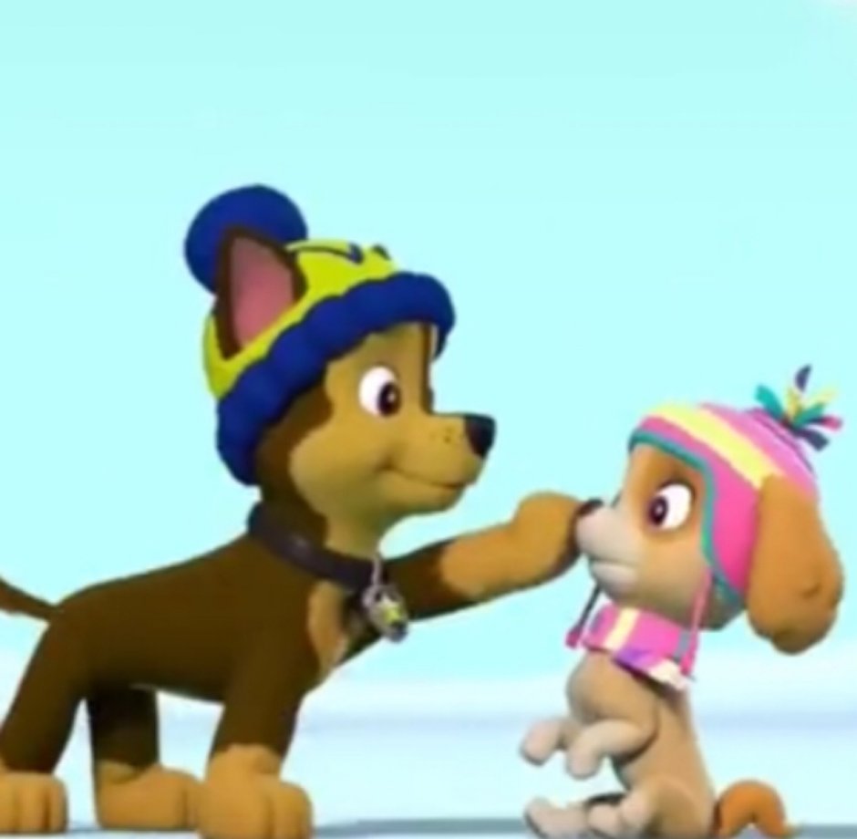 Щенячий патруль гонщик и Скай любовь