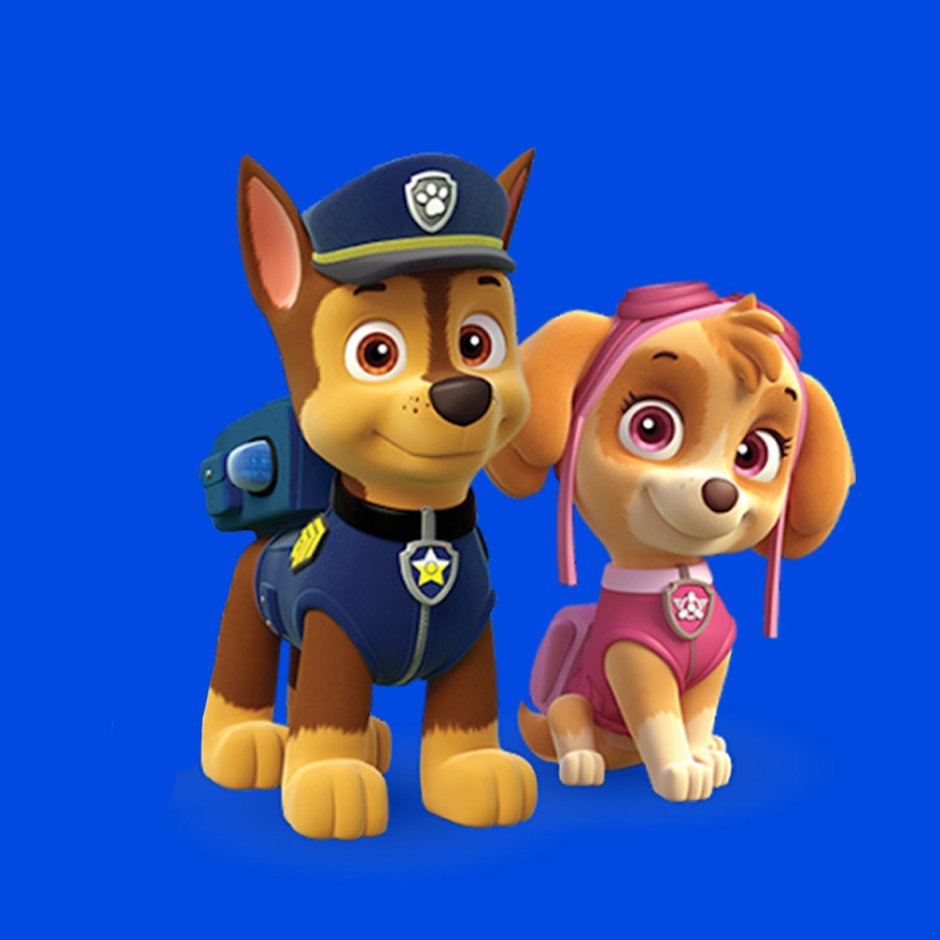 Гонщик и Скай