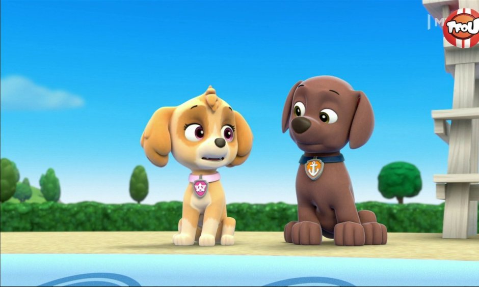 Щенячий патруль гонщик и Скай любовь