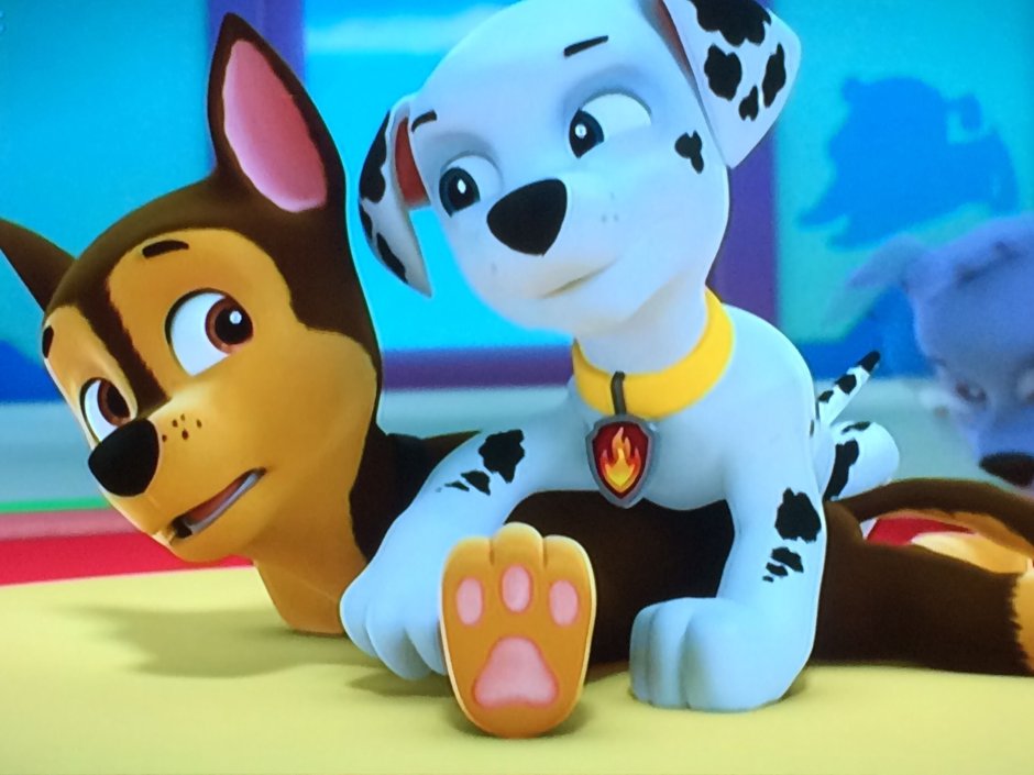 Щенячий патруль гонщик и Маршал