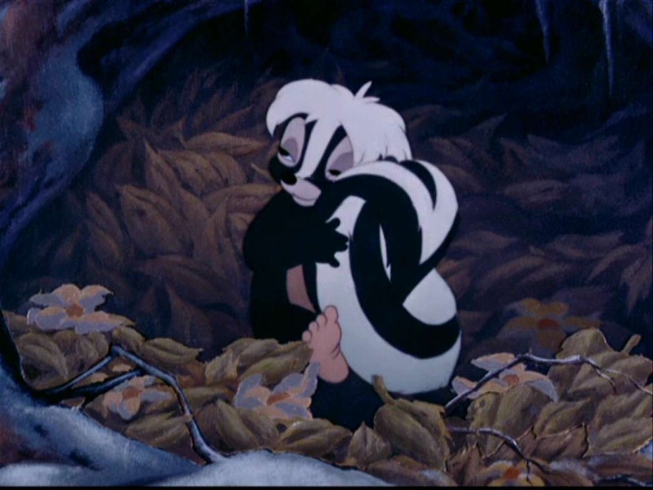 Бэмби скунс