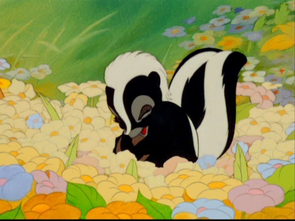 Скунс цветочек из Бэмби