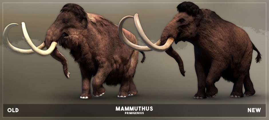 Шерстистый мамонт (Mammuthus primigenius)