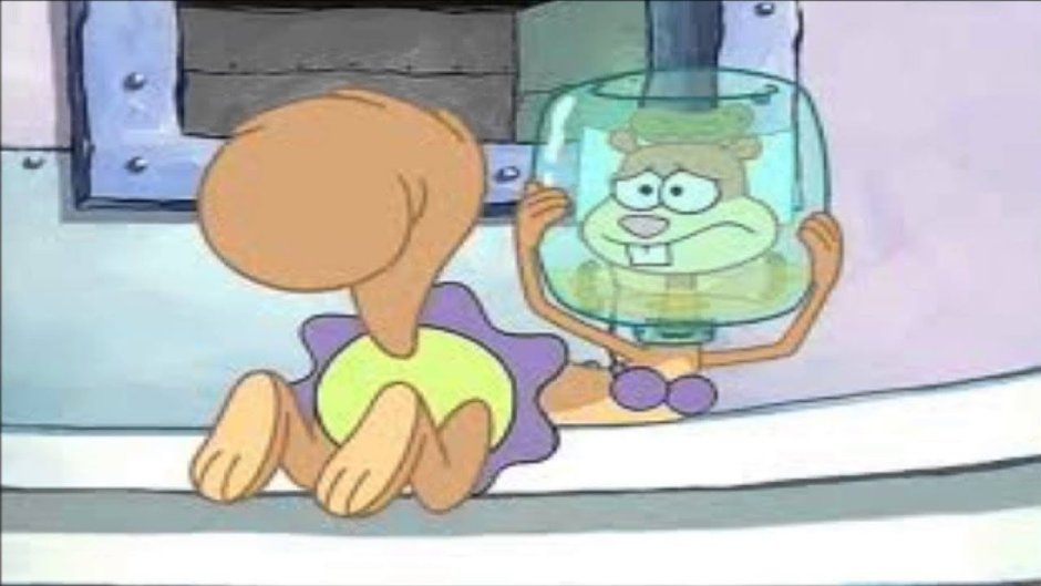 Губка Боб квадратные штаны Сэнди чикс