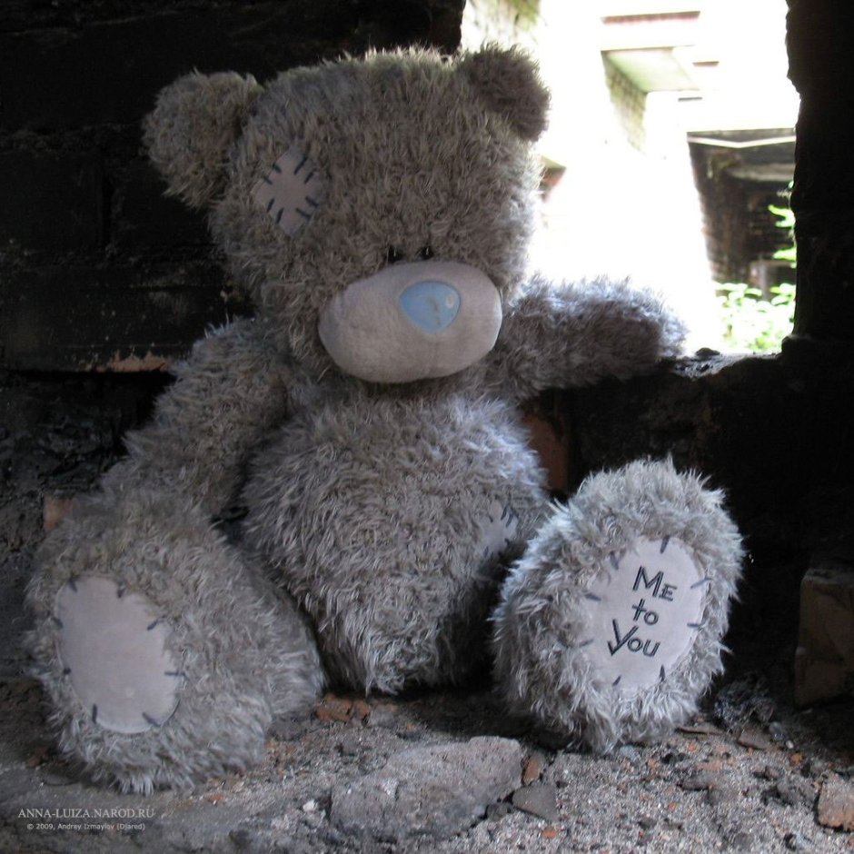 Мишка Тедди на улице