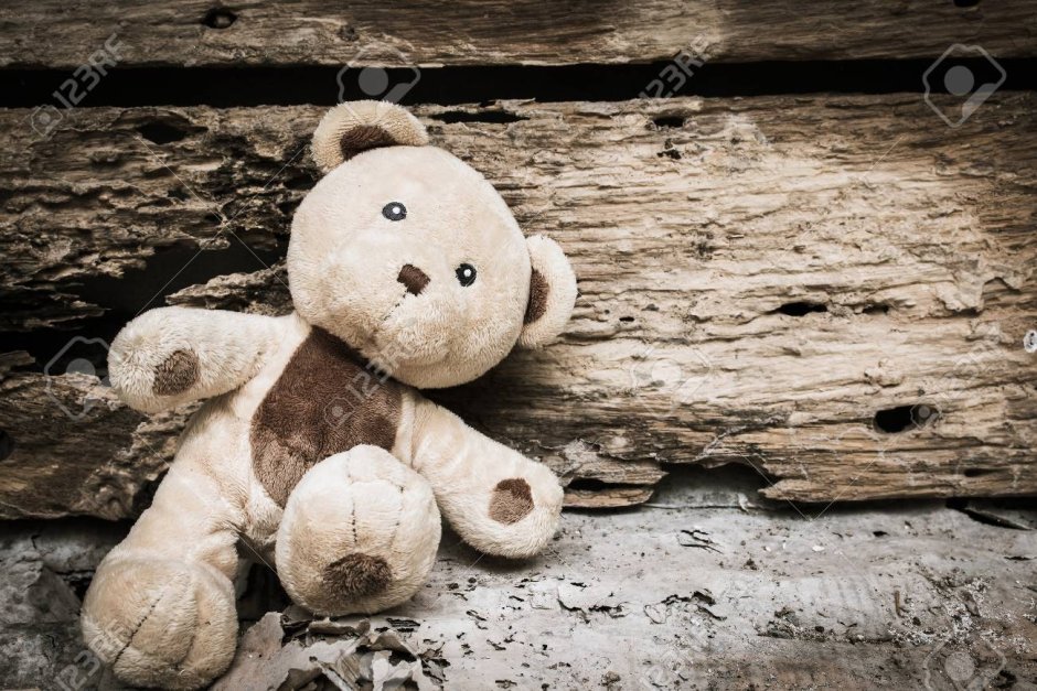Брошенные большие плюшевые медведи