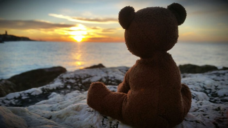 Плюшевый мишка на закате