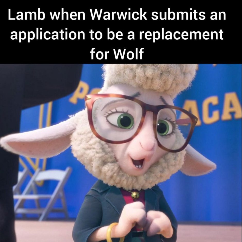 Bellwether real Life