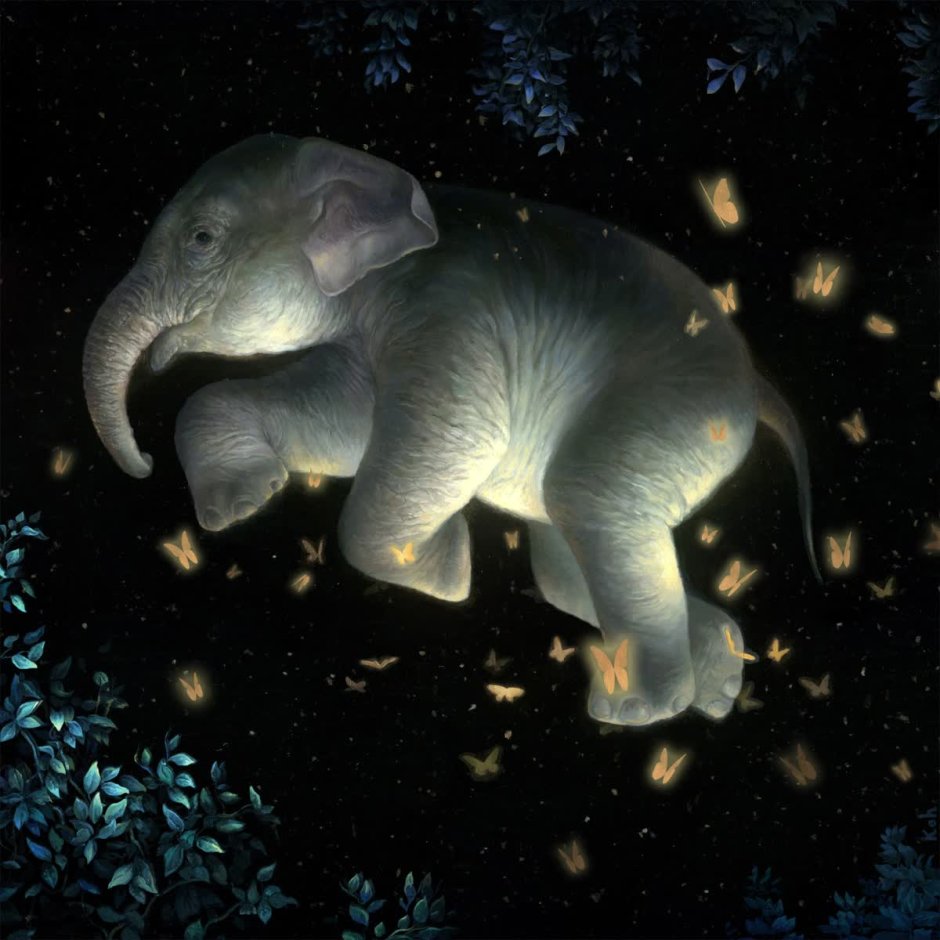 Слоны ночью