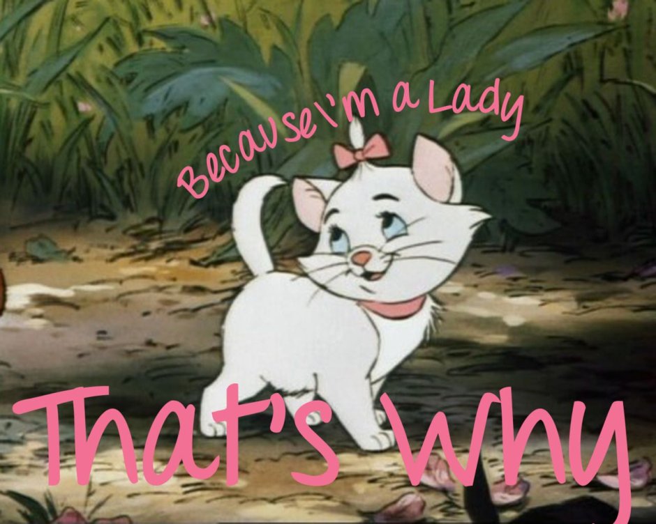 Белая кошка с розовым бантом из мультика