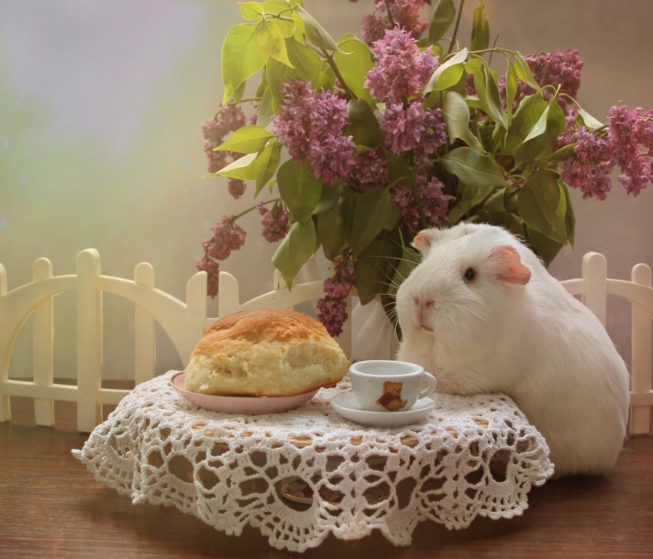 Доброе утро хомяк