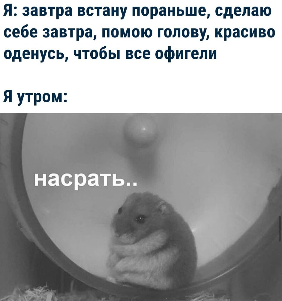 Завтра встану пораньше