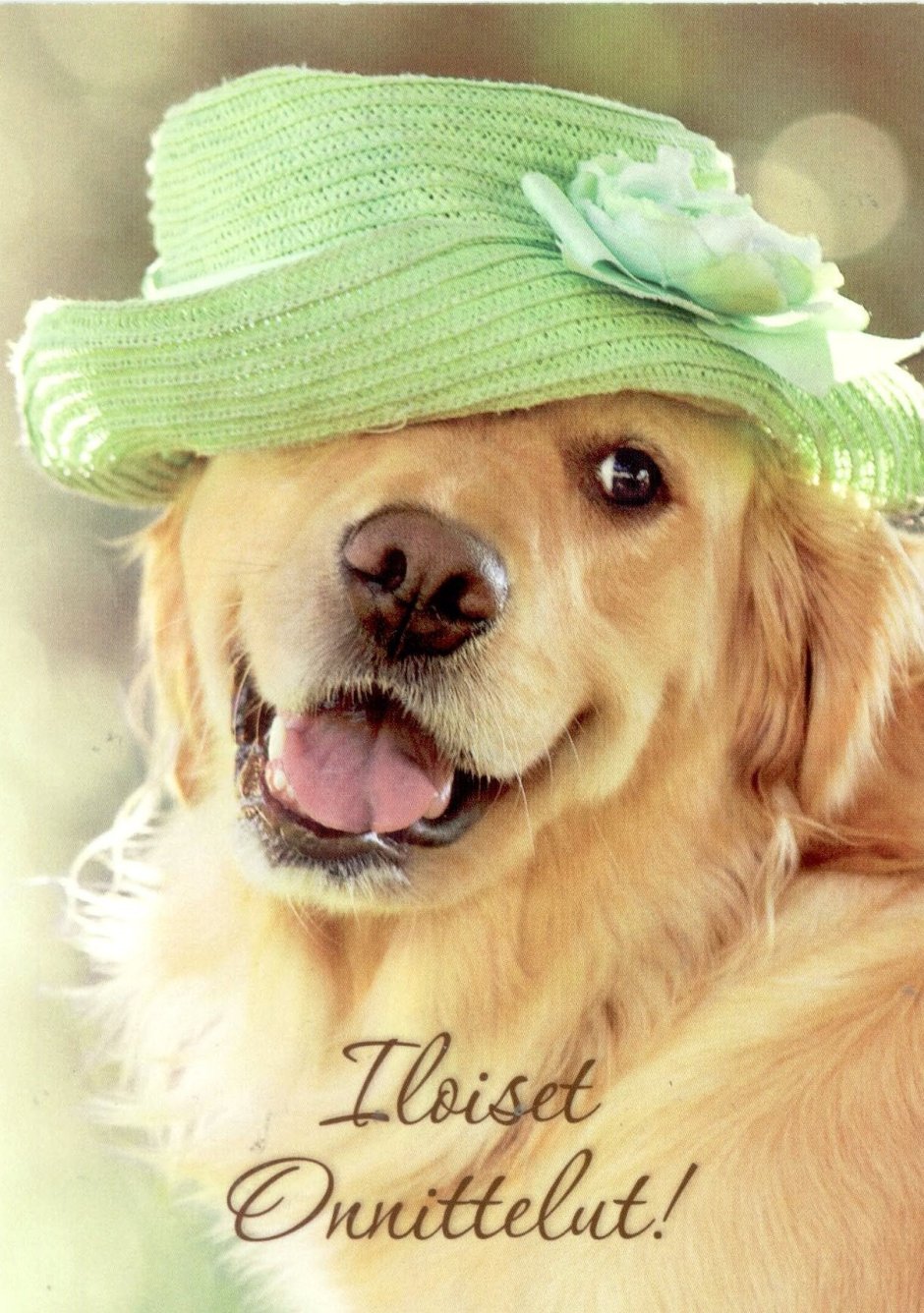 Добрая собачка