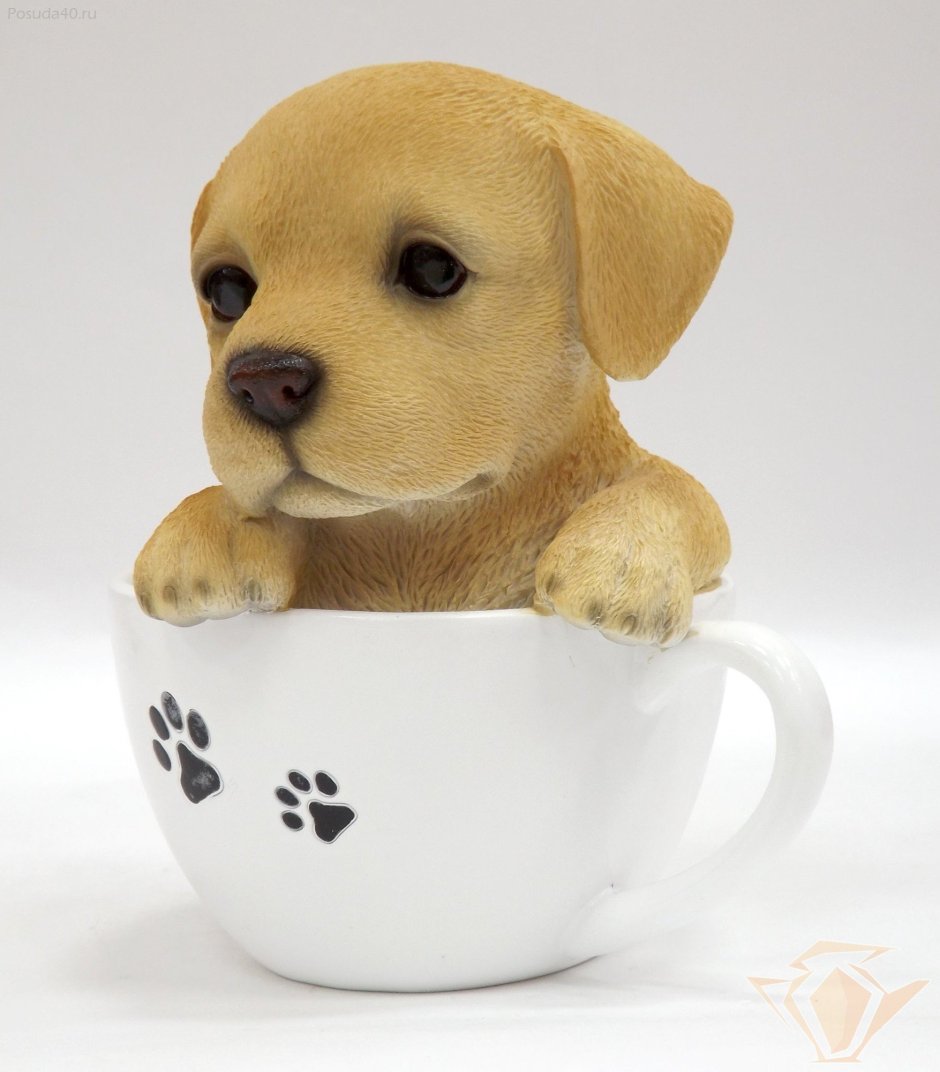 Щенок в чашке