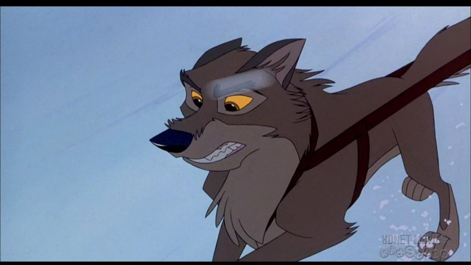 Балто рычит