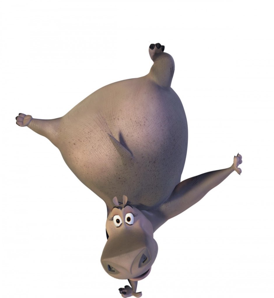 Бегемот Глория из Мадагаскара