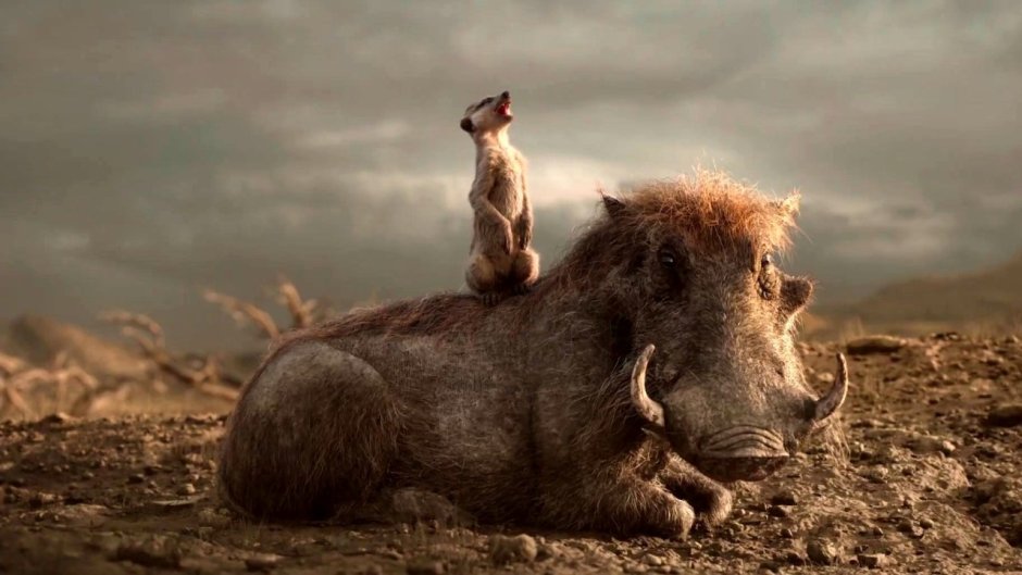 Тимон и Пумба 2019