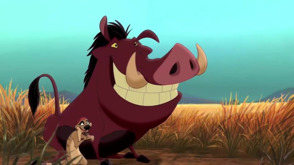 Тимон и Пумба Тимон фото