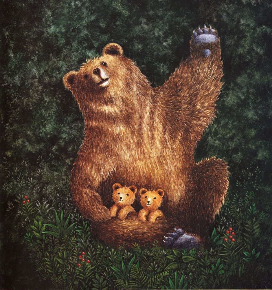 Медведь иллюстрация