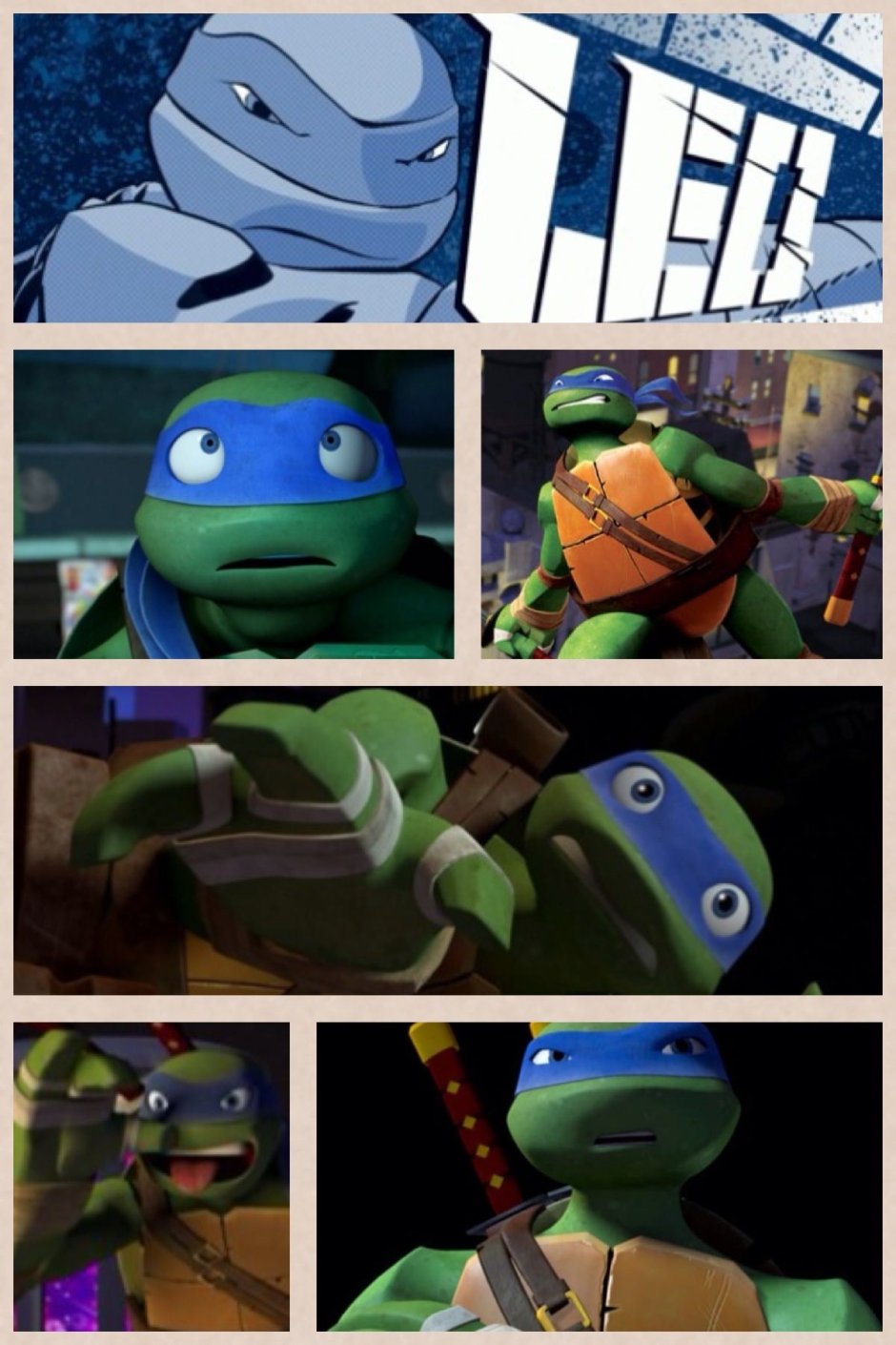 Лео черепашка 2012