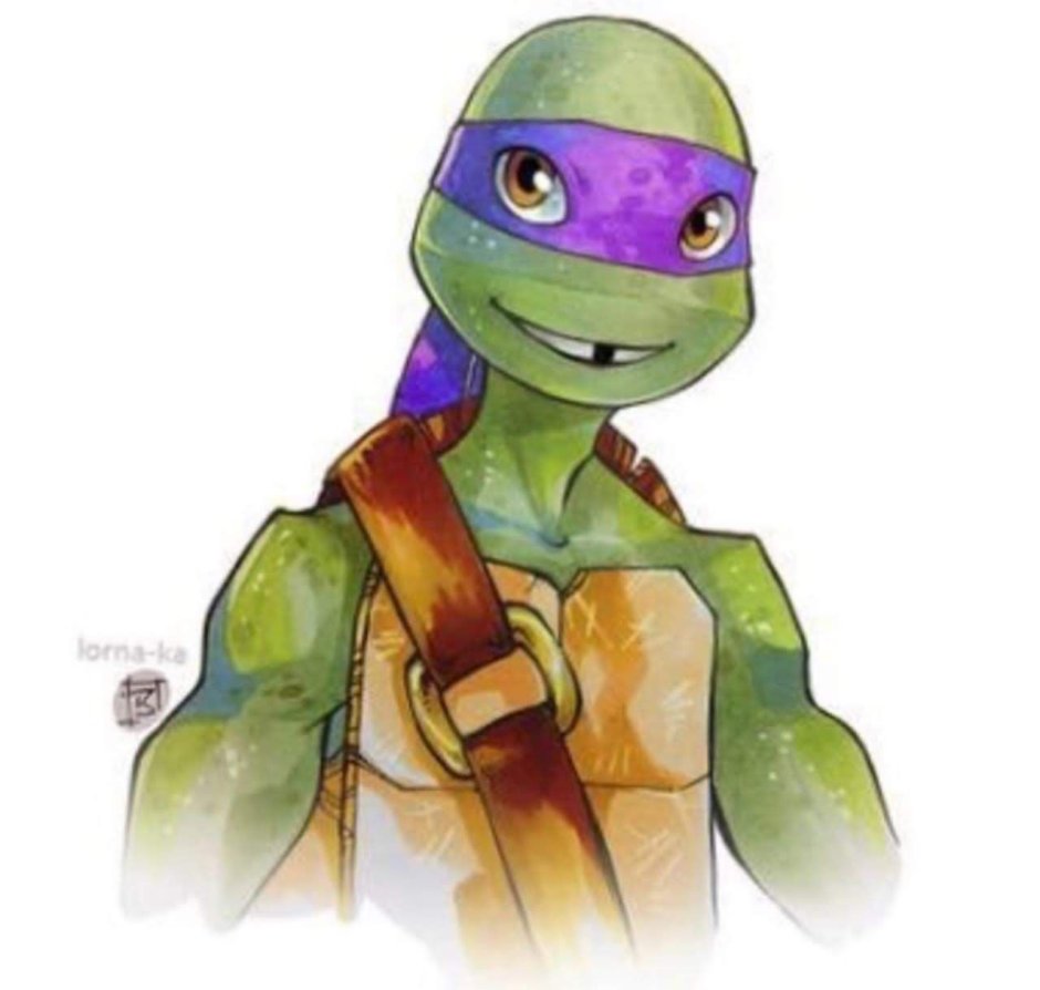 Черепашки ниндзя 2012 Донни арт