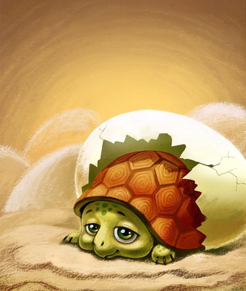 Черепашка Тортилла