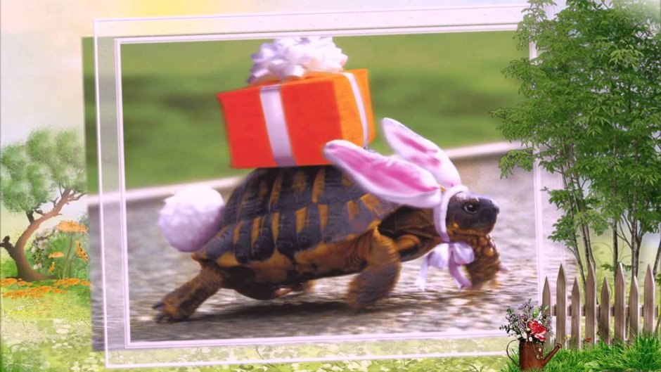 Демотиваторы про счастье