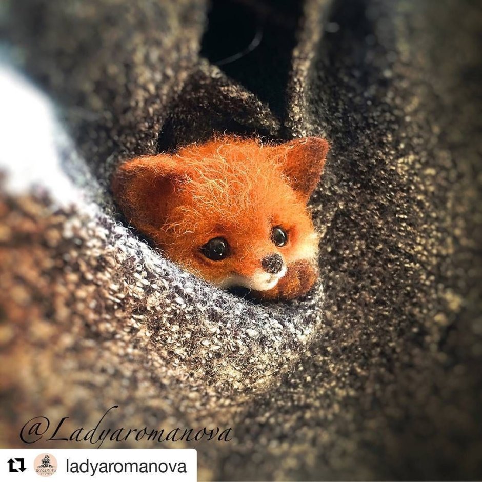 Очень милый Лисенок