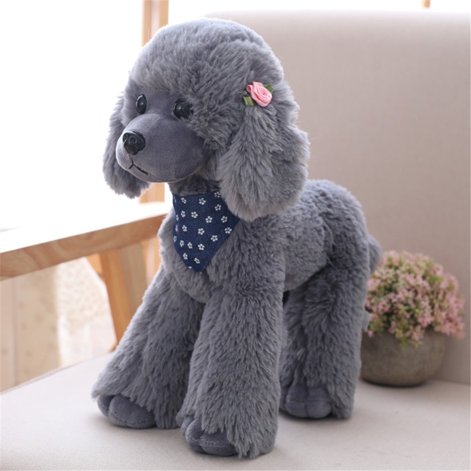 Тедди пудель