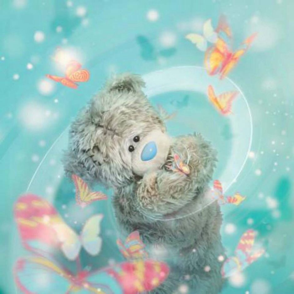 Доброе утро Тедди