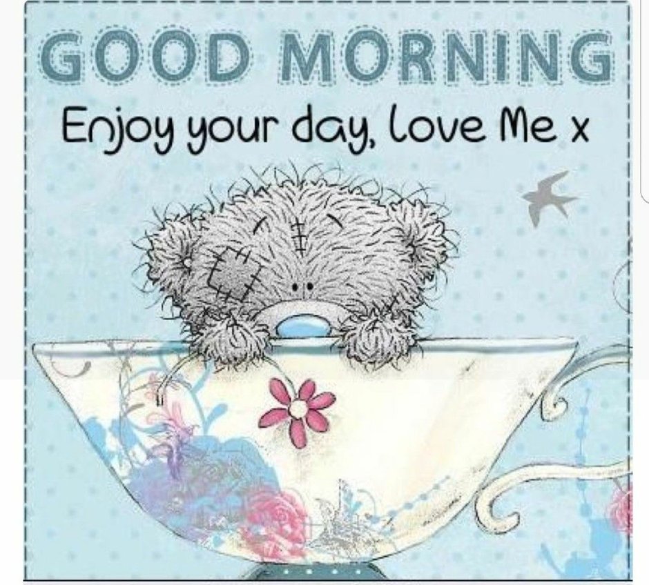 Мишка Тедди утро