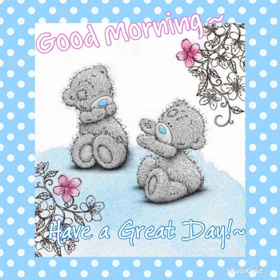 Good morning мишка Тедди