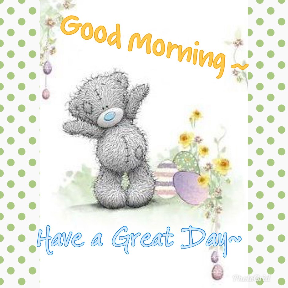 Teddy Bear good morning have a