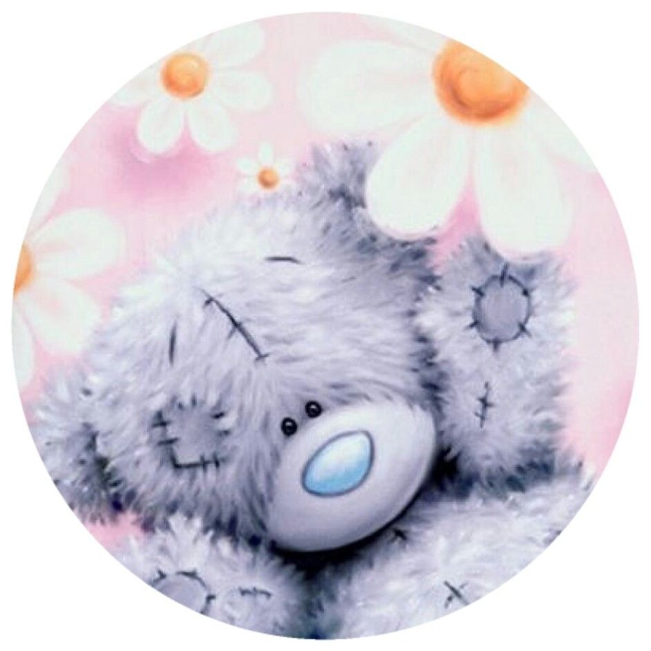 Доброе утро Тедди