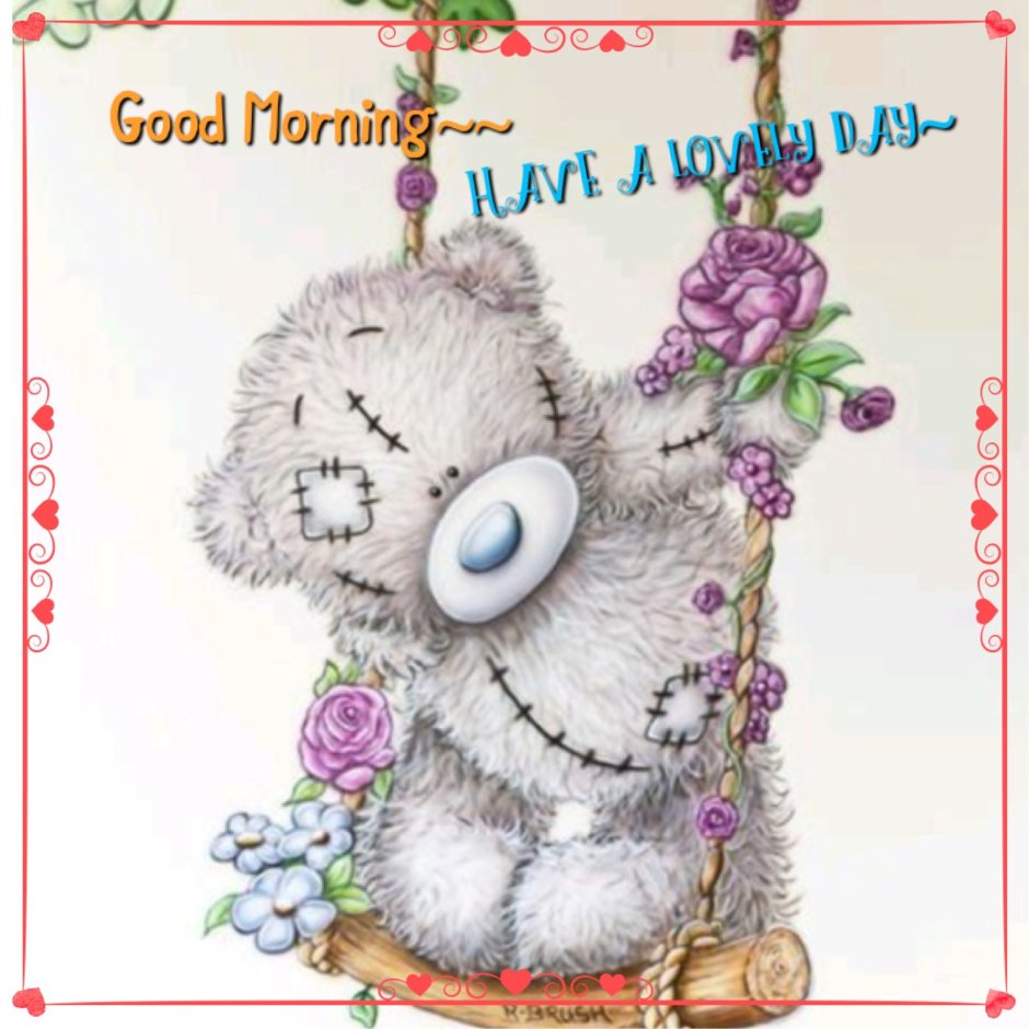 Доброе утро Тедди