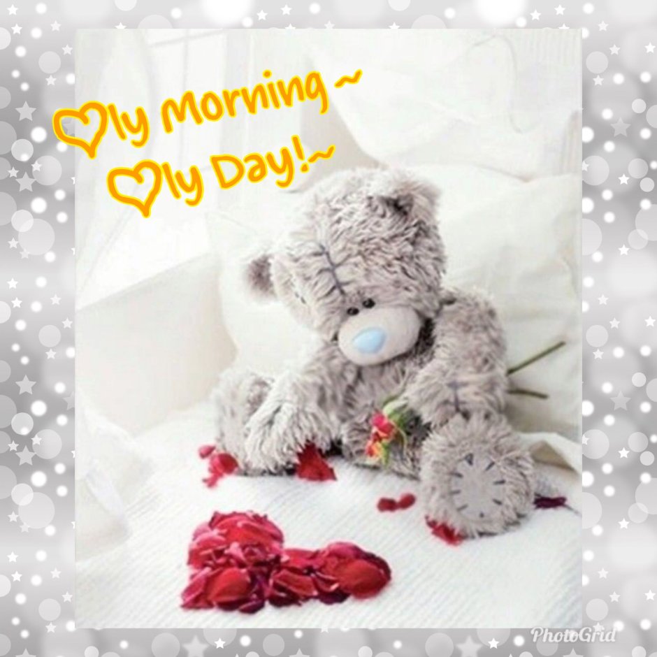 Доброе утро мишки тедди