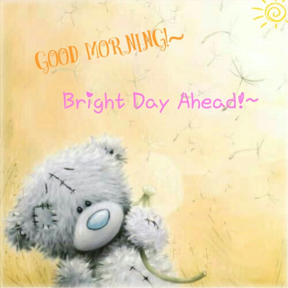 Доброе утро мишка Тедди