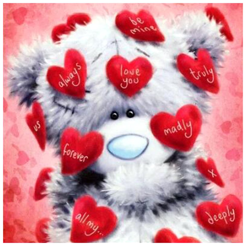 Тедди 14 февраля