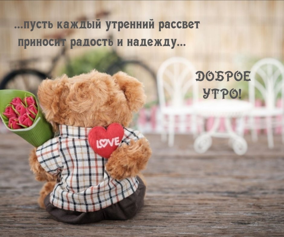 Тедди good morning