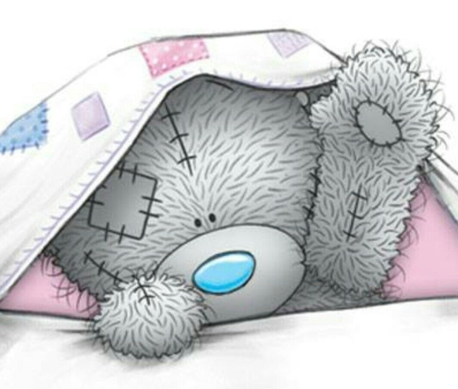 Мишка Тедди спит