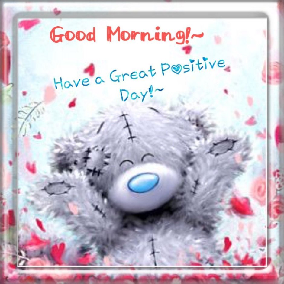 Good morning Bear Teddy