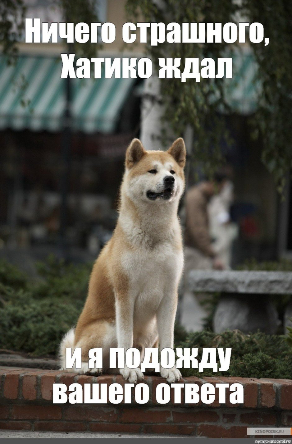 Хатико ждет