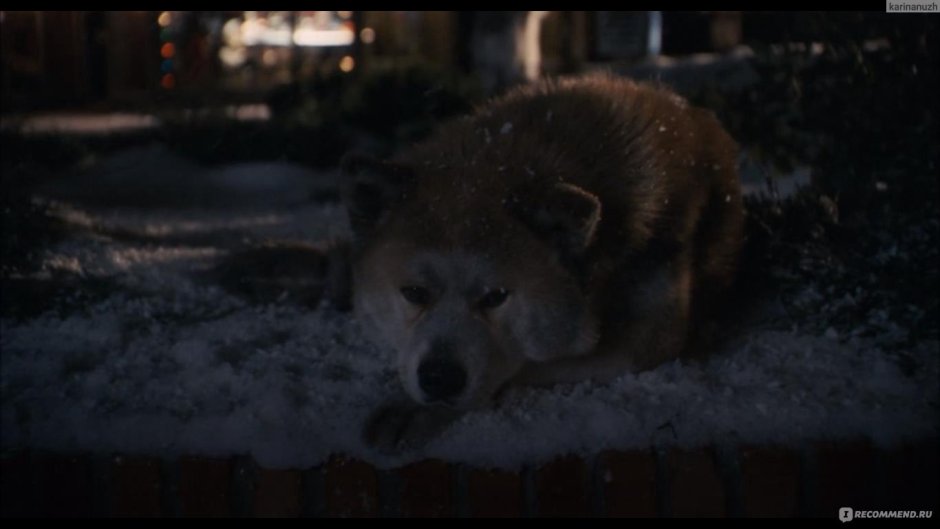 Паркер Уилсон Хатико