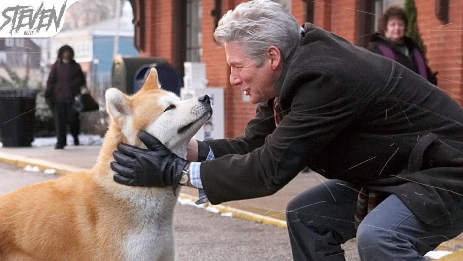 Кино про собаку Ричард Гир