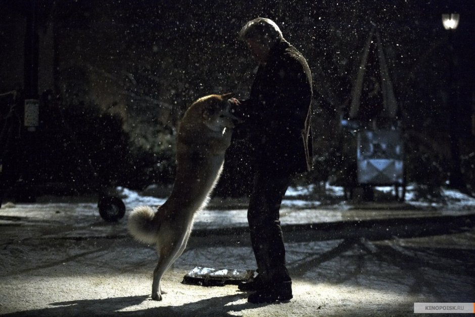 Хатико самый верный друг