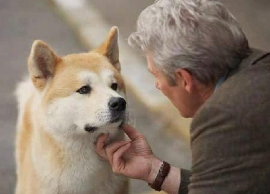 Ричард Гир Хатико