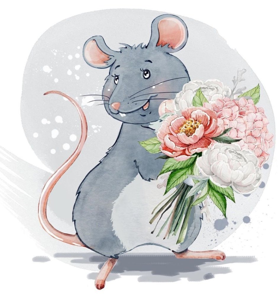 Иллюстрации Дарьи Сидоровой